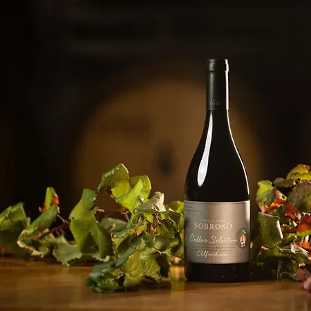 Herdade Do Sobroso Wine Hotel & Villas - Small Luxury Hotels Of The World-3