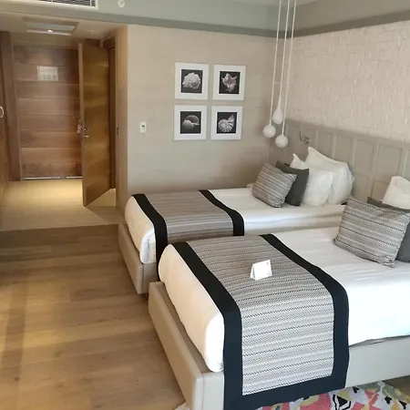 Acanthus Cennet Barut Collection-3