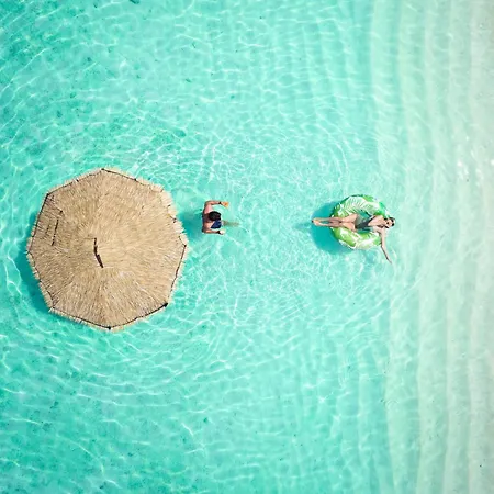 Centara Ras Fushi Resort & Spa Maldives - Stay 4 Nights Or More And Enjoy 40 Percent Off Speedboat Transfers, Valid For Stays From 6 Apr To 30 Sep 2026 (Adults Only)-2