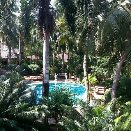 African House Resort-3