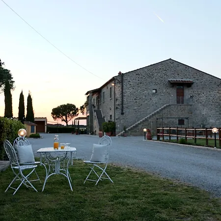 Terra Di Cortona-3