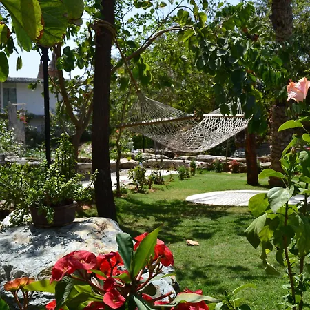 Lohagarh Fort Resort-2