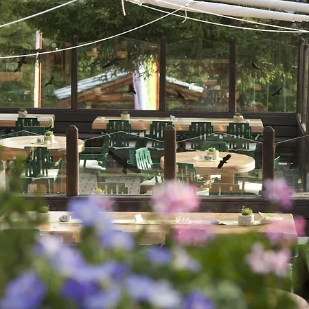 Silvana Mountain Hotel-2
