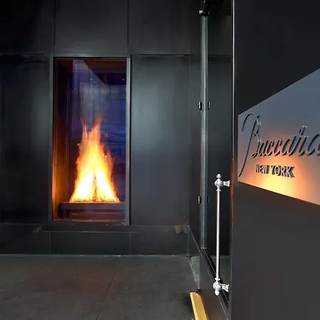 Baccarat Hotel And Residences New York-3