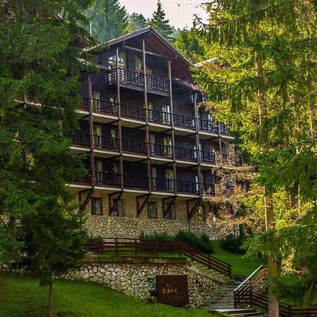 Ana Hotels Bradul Poiana Brasov-2