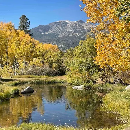 Scenic Views Hot Tub Ski Shuttle Pet Friendly-3