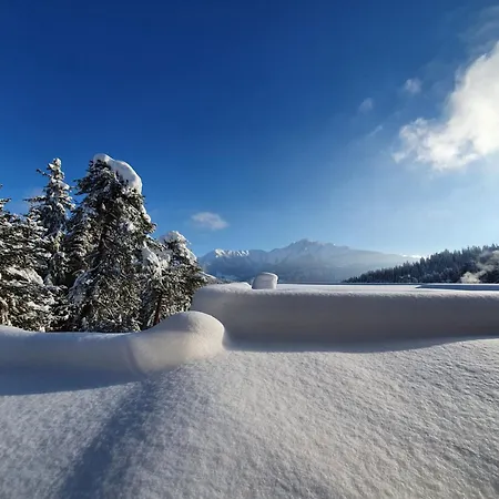 Alpine Lodge Laax-3