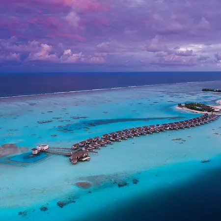 Ozen Life Maadhoo-3
