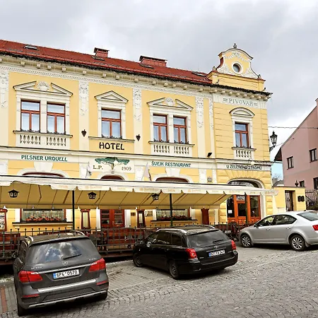 Hotel U Zeleneho Stromu-2
