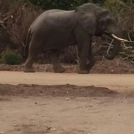 Malombo Selous Forest Camp-2