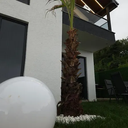 Sapanca Modern-3