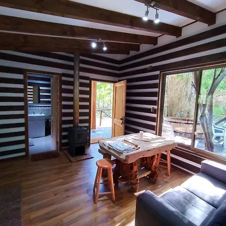 Domos Conguillio - Glamping Domo-3