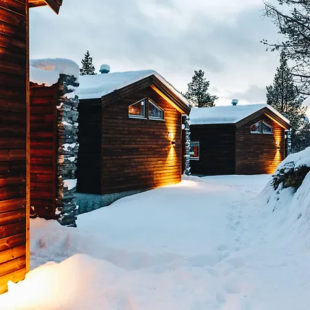 Bjornfjell Mountain Lodge-3