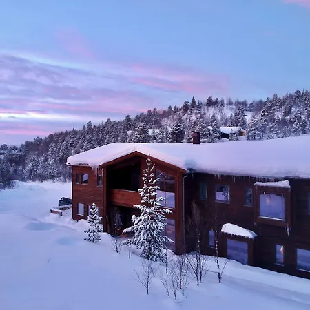 Bjornfjell Mountain Lodge-2