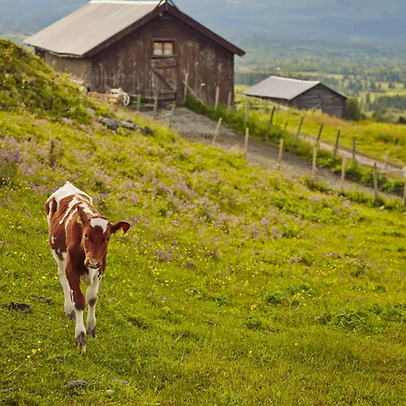 Storefjell Resort-2