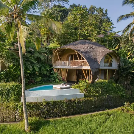 Ecosix Bali-2
