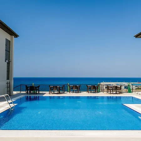 Olivia Palm Hotel-2
