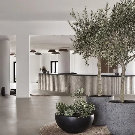 Orama Hotel & Spa-2