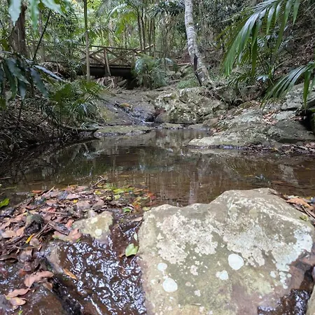 Banora Point Family Retreat, Pool And Nature Reserve-2