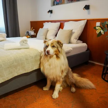 Hotel Snezka-3