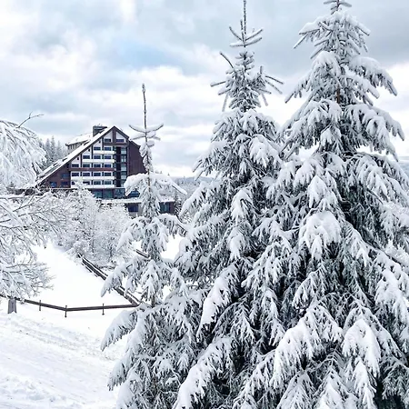 Orea Resort Horizont Sumava-2