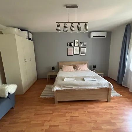 Tulipanos Haz-2