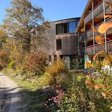 Gesundhotel Bad Reuthe-3