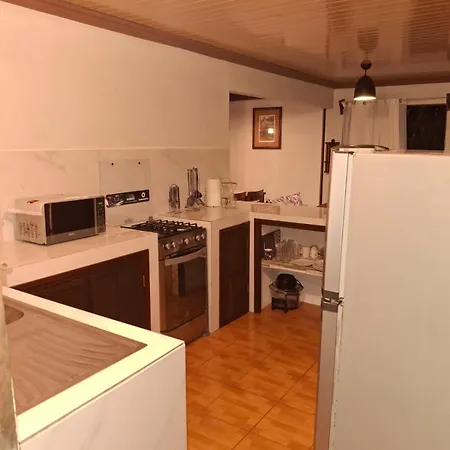 Garden House-3