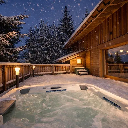 Chalet Moderne 5* A Courchevel La Tania - 12 Pers, Jacuzzi, Sauna, Skis Aux Pieds, Cheminee, Cinema - Fr-1-575-154-3
