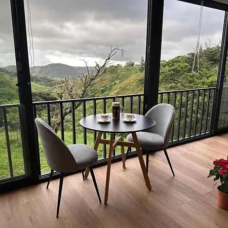 Bibo Casa Savia-2