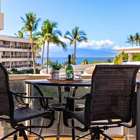 Maui Banyan P202-3