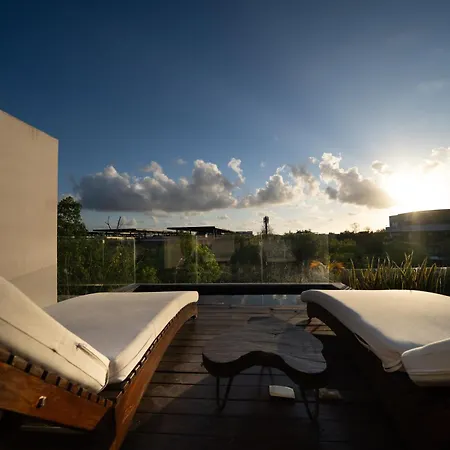 Amazing Penthouse & Apartment With Private Pool, Terrace , Roof Top And Hot Tub In Tulum Jungle-2