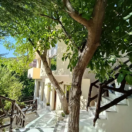 Luxurious Designer Villa-2