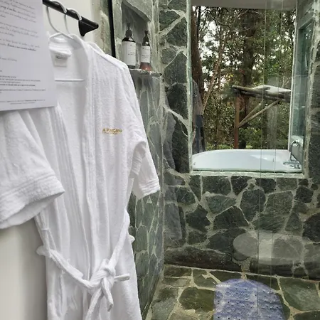 Cabana Aventurina- La Pascana Ecolodge Entorno Natural Excepcional, Conexion Con La Naturaleza Y Avistamiento De Aves, Ubicado A 3Km Del Metrocable Y Parque Arvi, Guarne-3