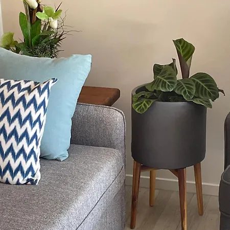 Modern Studio Near Paihia Beaches-2