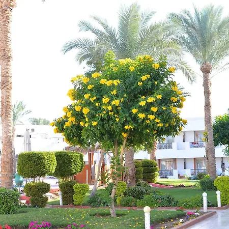 Viva Suites Sharm El Sheikh-2