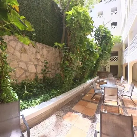 Suite Sol-2