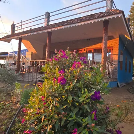 Jungle Stay Tent And Cottage-3