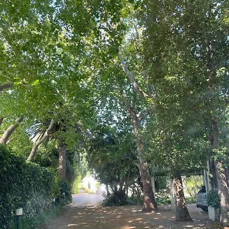 Airlie Well-2