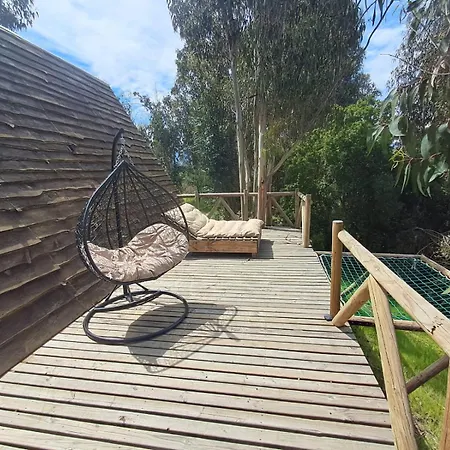 Glamping Lago Rapel-3