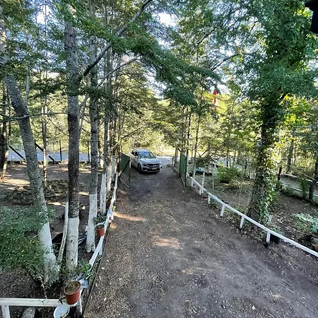 Casa Pucon-3