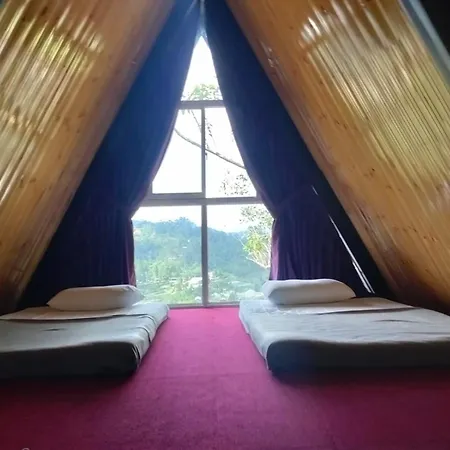 Bliss den-2