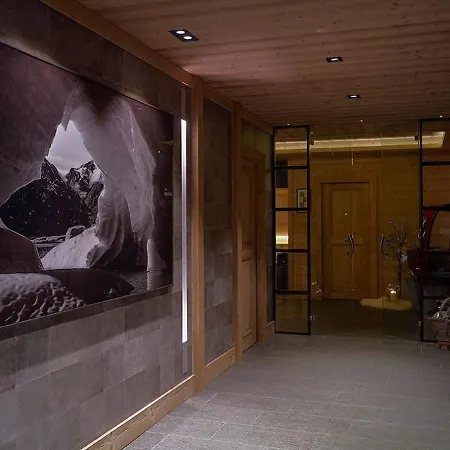 Chalet Les Sorbiers-2