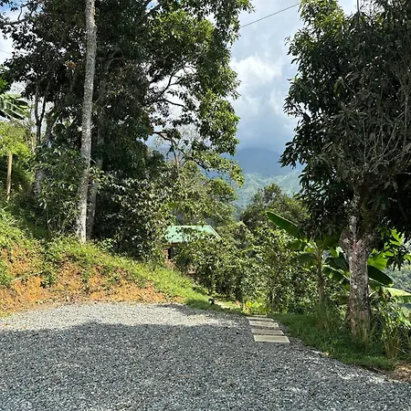 Terramoka Glamping-3