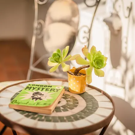 Charming Historic Home In Central Stellenbosch-2
