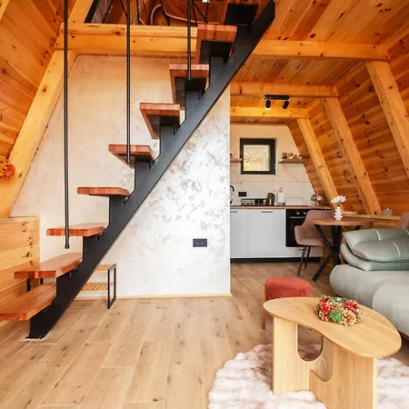 Homeland Nest-3