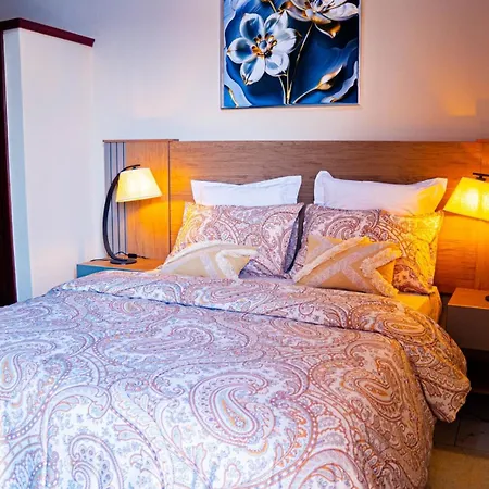Modern Chic Apart-2