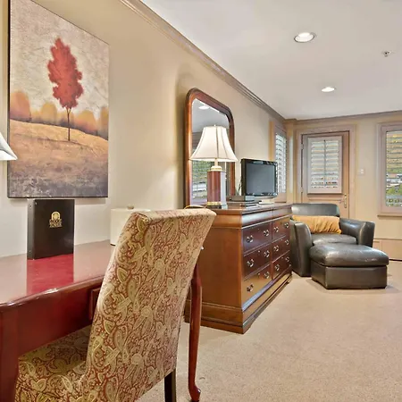 Lodge Tower 478 One Bedroom Residence-3