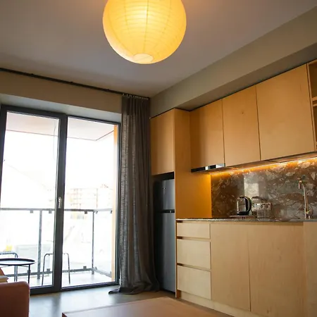 New Gudauri Four Season Premium Apartments-2