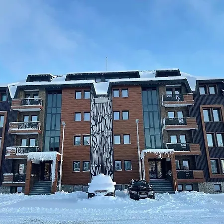 Vila Golija Sky View Kopaonik-2